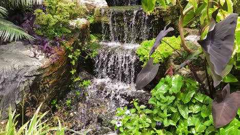 tropical waterfall garden
