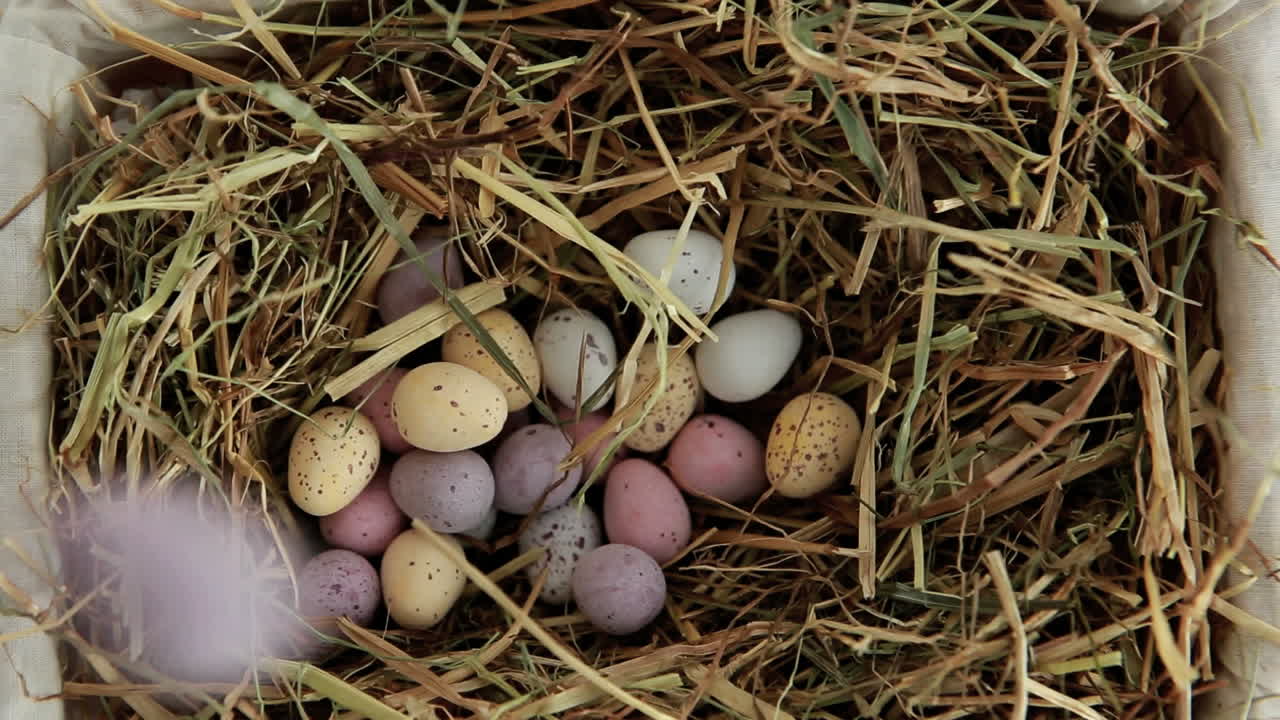 Sugar easter eggs falling in the straw