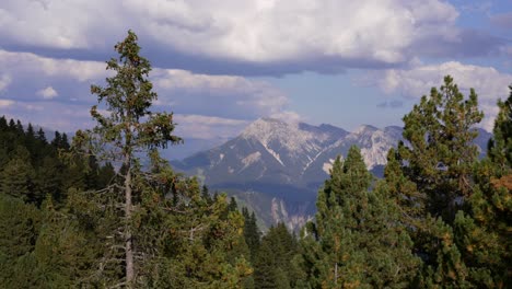 Hermosos-Alpes-Italianos-En-Tiempo-Nublado-Con-árboles-En-Primer-Plano