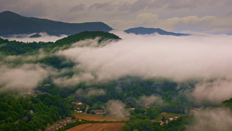 cinematic footage of nature’s haze in the smoky mountains.