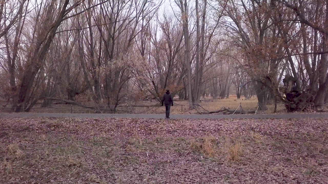 한 남자가 숲에서 포장된 길로 걸어갑니다 - 돌리