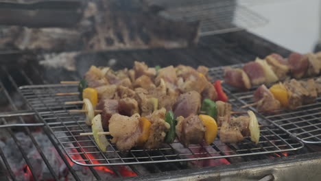 kebabs a la parrilla en una barbacoa
