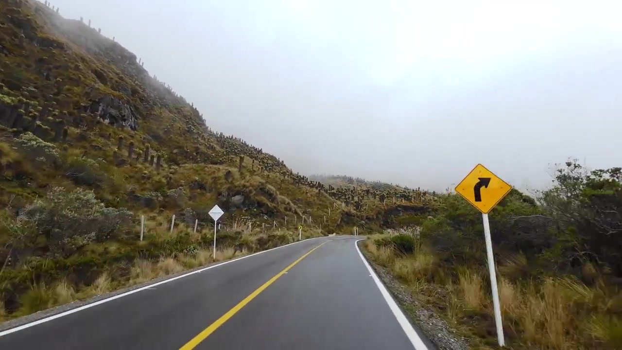 Ajonäkymä paljastaa frailejones-kasveja korkealla vuorenrinteellä Murillo–Manizales-tien varrella, sumun leijuessa maiseman halki