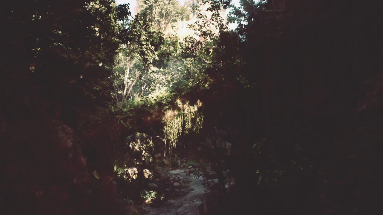 Exploring the lush greenery of vietnams serene jungle landscape at dawn