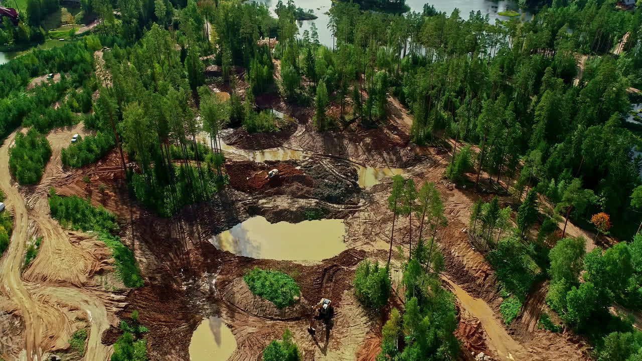cavando en el río de un bosque