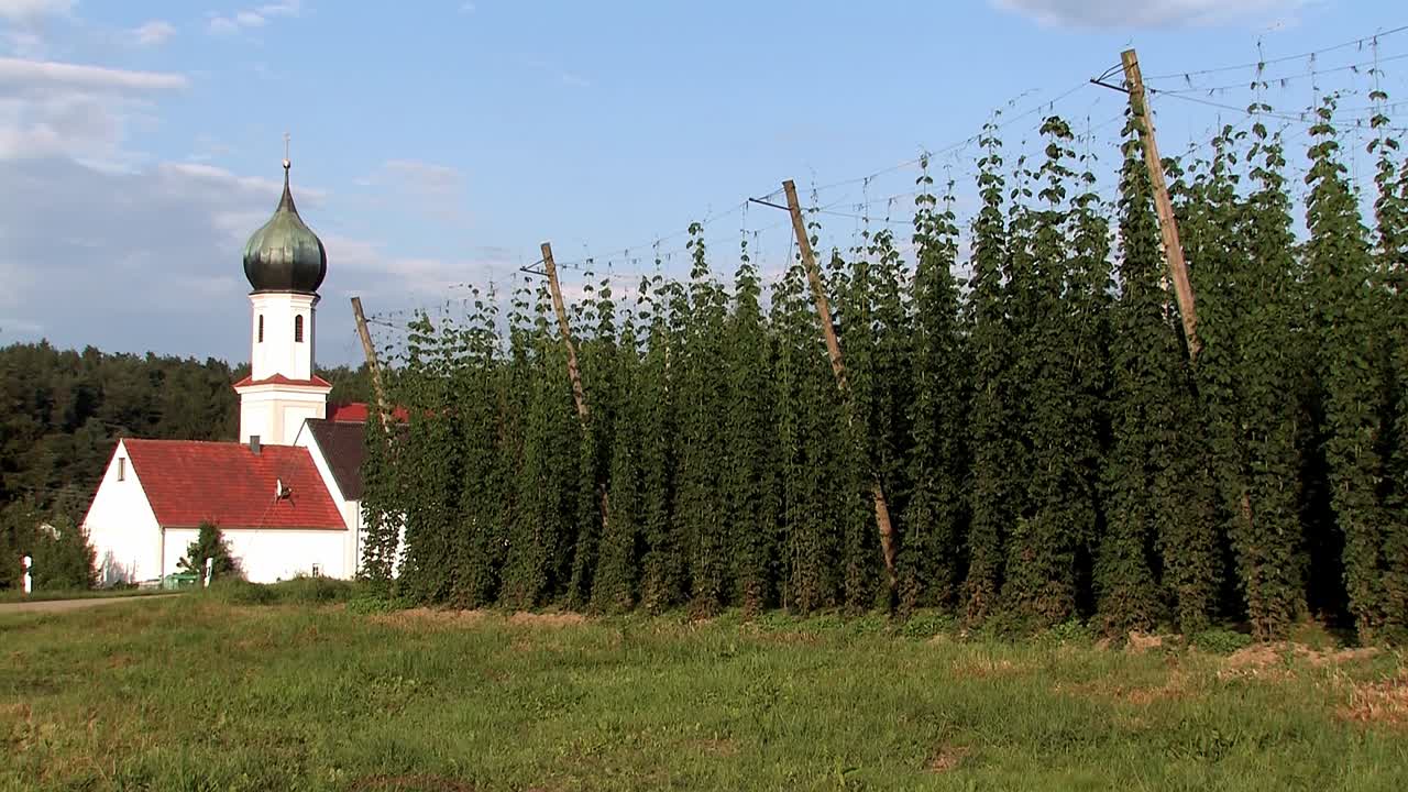 iglesia de peregrinación "lohwinden" con jardín de lúpulo en frente, baviera, alemania