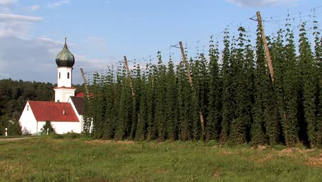 Church-of-pilgrimage-"Lohwinden"-with-hop-garden-in-front,-Bavaria,-Germany