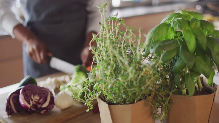 Video of herbs and hands of biracial woman preparing meal