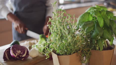 Video-of-herbs-and-hands-of-biracial-woman-preparing-meal