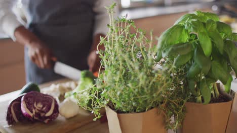 video de hierbas y manos de mujer biracial preparando comida