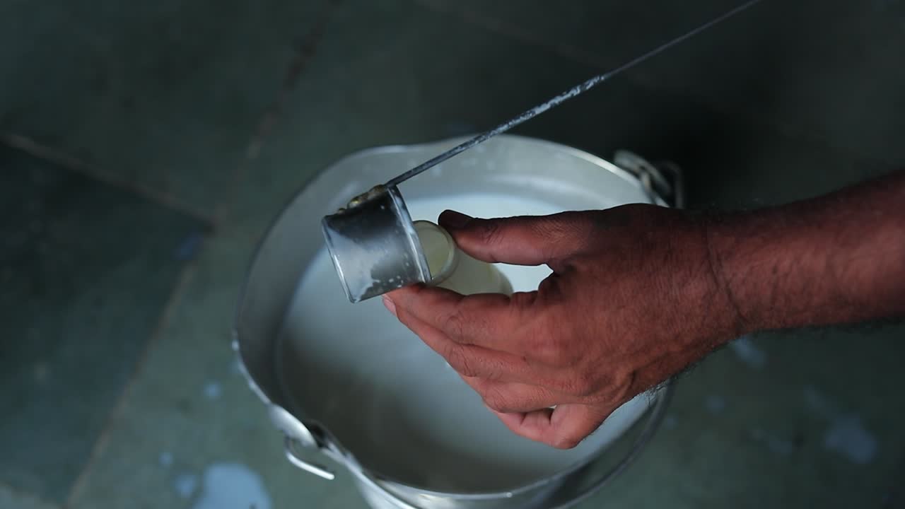 실험실에서 우유를 검사하는 품질관리 전문가