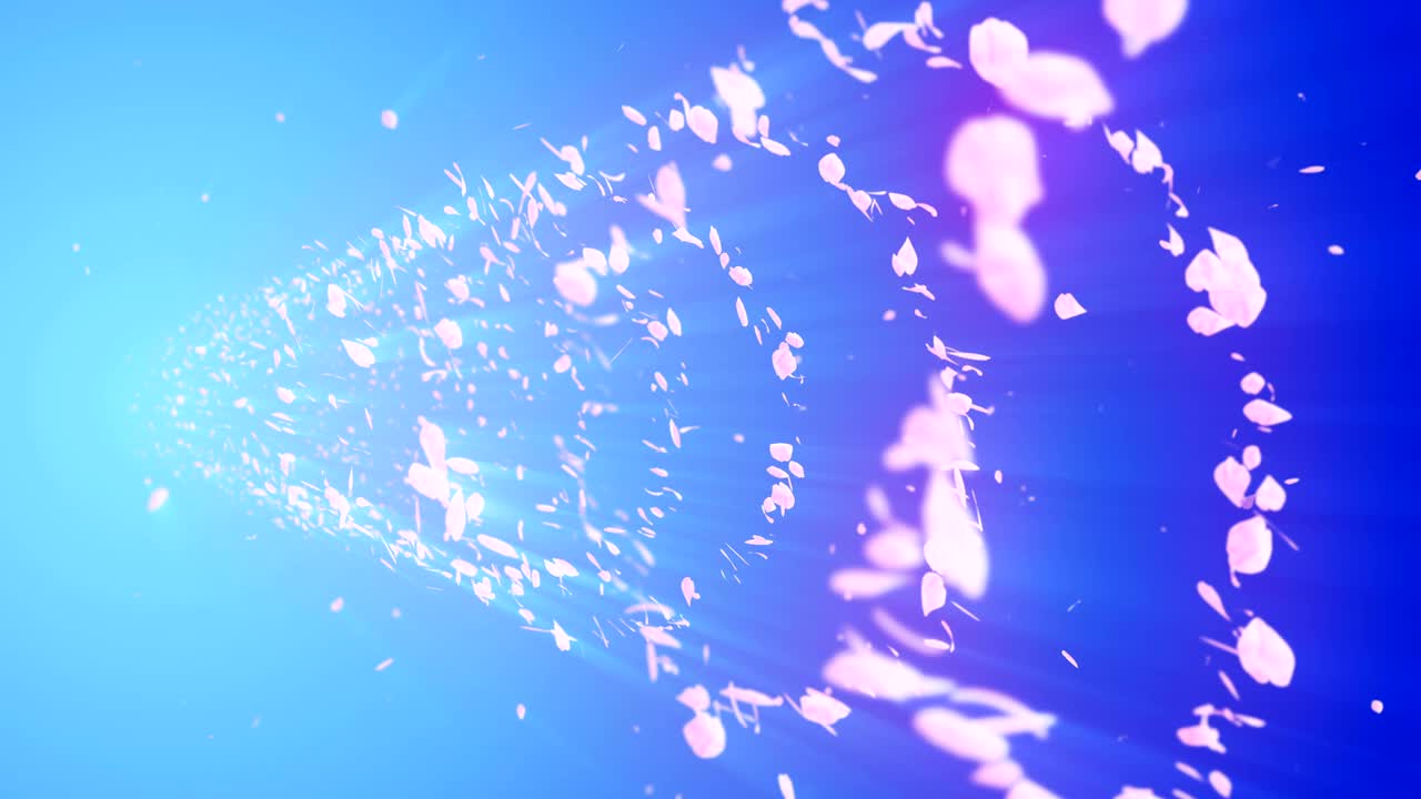 꽃의 나선형 반이는 입자, 사쿠라 패턴, 일본의 꽃 춤, 분홍색 꽃잎의 소용돌이, 추상적인 루프 애니메이션.