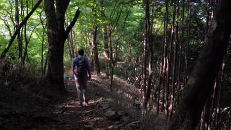 Man-With-Backpack-Walking-Through-The-Mountain-Trail-By-The-Forest-In-Japan