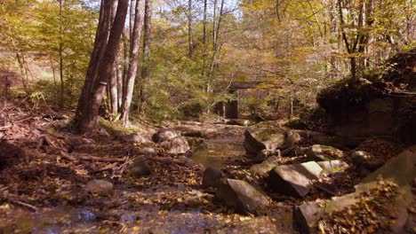 low drone footage over small river in autumn-9