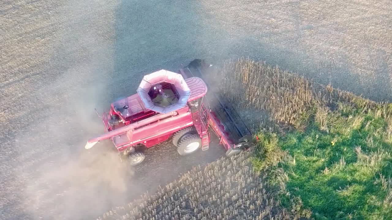 Vista panorâmica de drone aéreo de uma colheitadeira vermelha colhendo soja em torno de uma área úmida em um campo empoeirado cerca de uma hora antes do pôr do sol