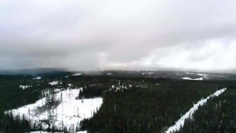 aerial view of a snowy forest on a cloudy winter day