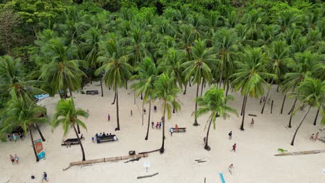 Tropical-sandy-beach-with-palm-trees-and-tourists-traveling-and-walking