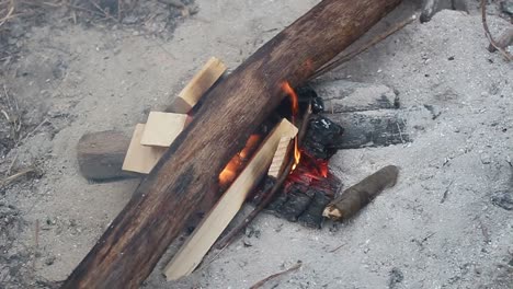girl scout está salvando casi quemar fuego soplando aire en las cenizas
