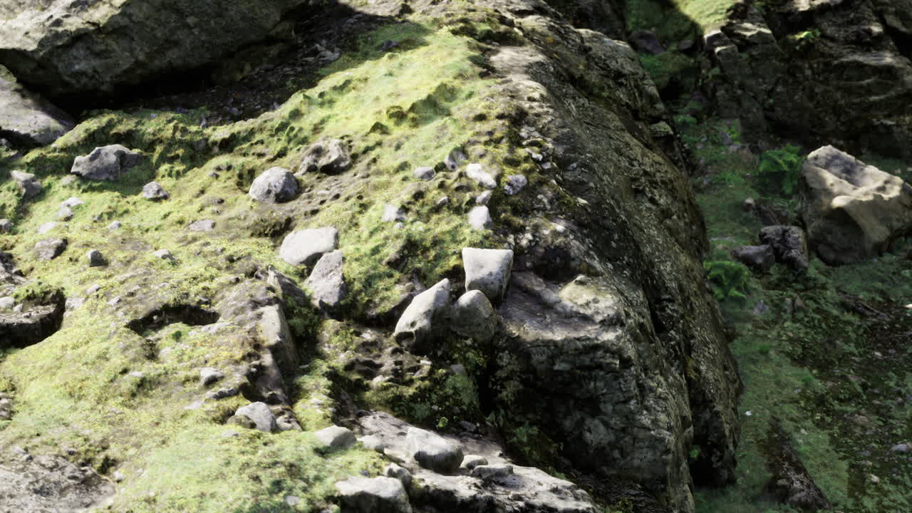 paisaje rocoso texturizado con musgo verde exuberante bajo luz natural