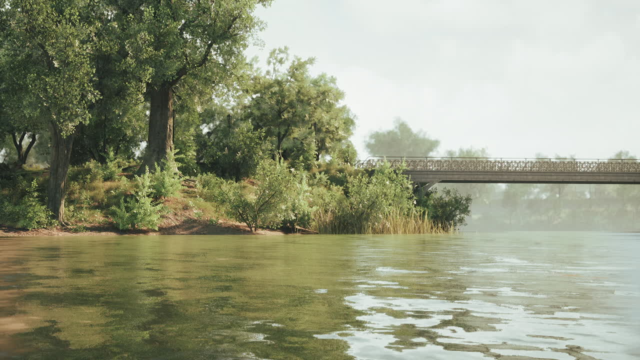 A bridge over a river with lush greenery and fog