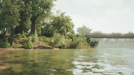 a bridge over a river with lush greenery and fog