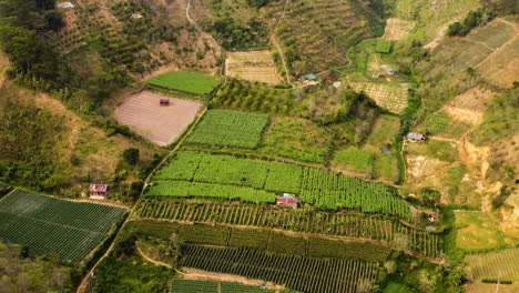 Exuberante-Valle-Con-Diferentes-Tipos-De-Plantas-Que-Crecen-En-Vietnam,-Vista-Aérea-De-Vuelo