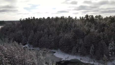 árboles-Cubiertos-De-Nieve-Fresca-Aérea-Por-El-Río