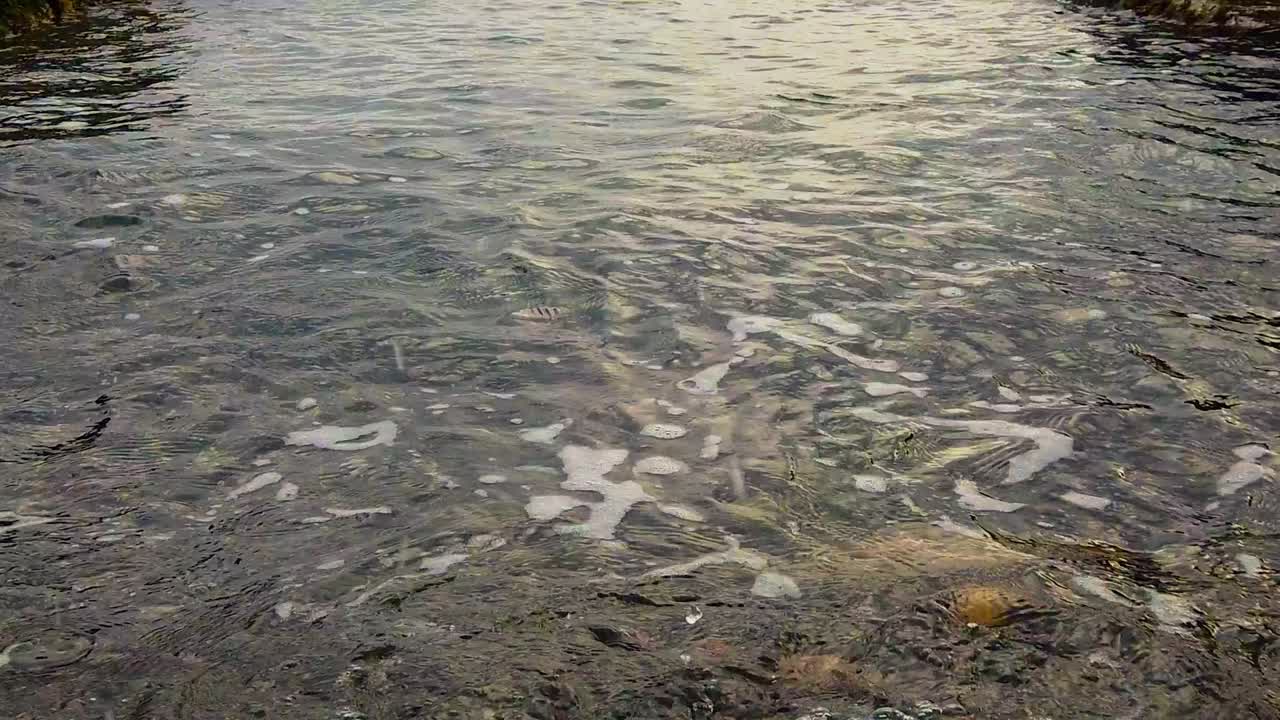 돌이 많은 해안에 파도가 오고 있다