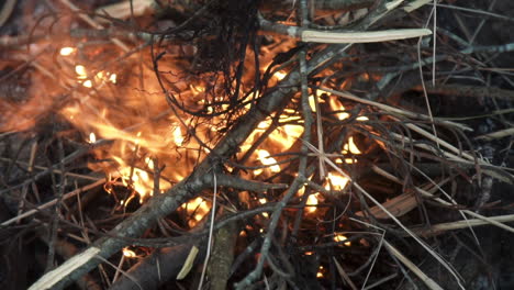 la madera comienza a encenderse en una acogedora hoguera en el desierto