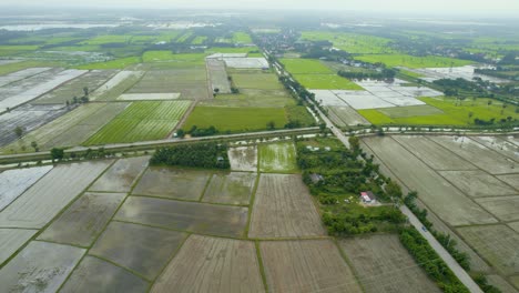 aerial view on agricultural fields