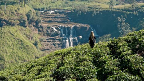 footage of a woman walking through lush tea plantations at saint clair’s falls in nuwara eliya, sri lanka.