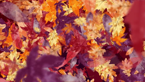 abstract painted autumn color background screensaver with yellow and purple fallen tree leaves. looped motion graphics.