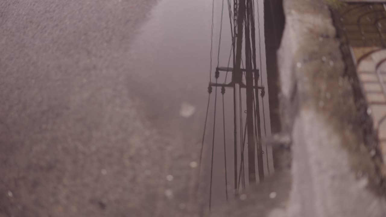 Puddle Reflection of Utility Poles