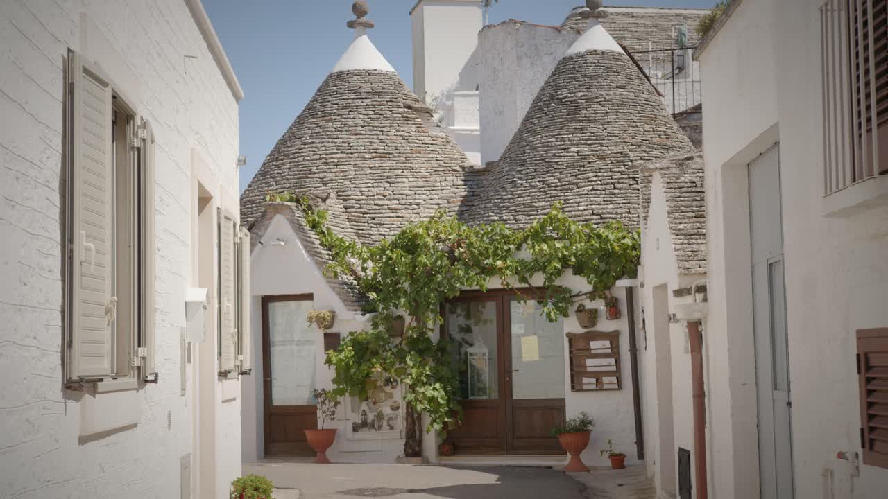 encantadora casa italiana de trulli blanco en alberobello con plantas verdes