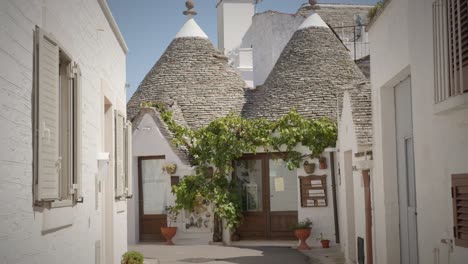 Encantadora-Casa-Trulli-Blanca-Italiana-En-Alberobello-Con-Plantas-Verdes