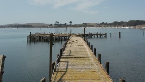 video aéreo del antiguo muelle abandonado con pájaros volando en la bahía de bodega del norte de california