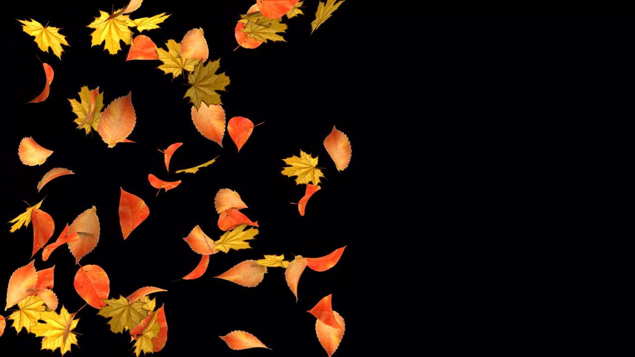 검은 바탕에 는 가을 날개: 잎이 떨어지는 3d 애니메이션