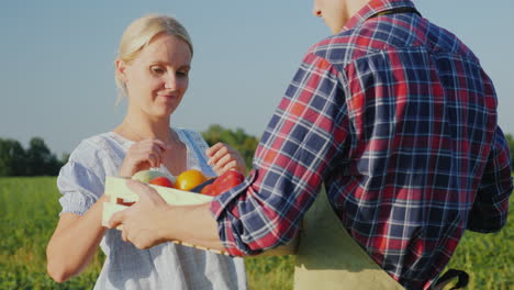 the consumer takes a box of fresh vegetables from the hands of the farmer fresh organic vegetables c