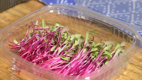 POV-Hand-Legt-Frische-Samensprossen-Mikrogrüne-Rote-Bete-In-Plastikverpackung,-Nahaufnahme