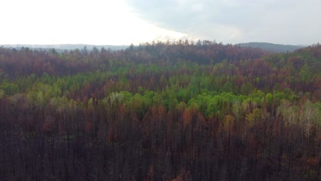 Aerial-wide-view-of-Rain-falling-on-Burnt-forest-landscape,-Toronto