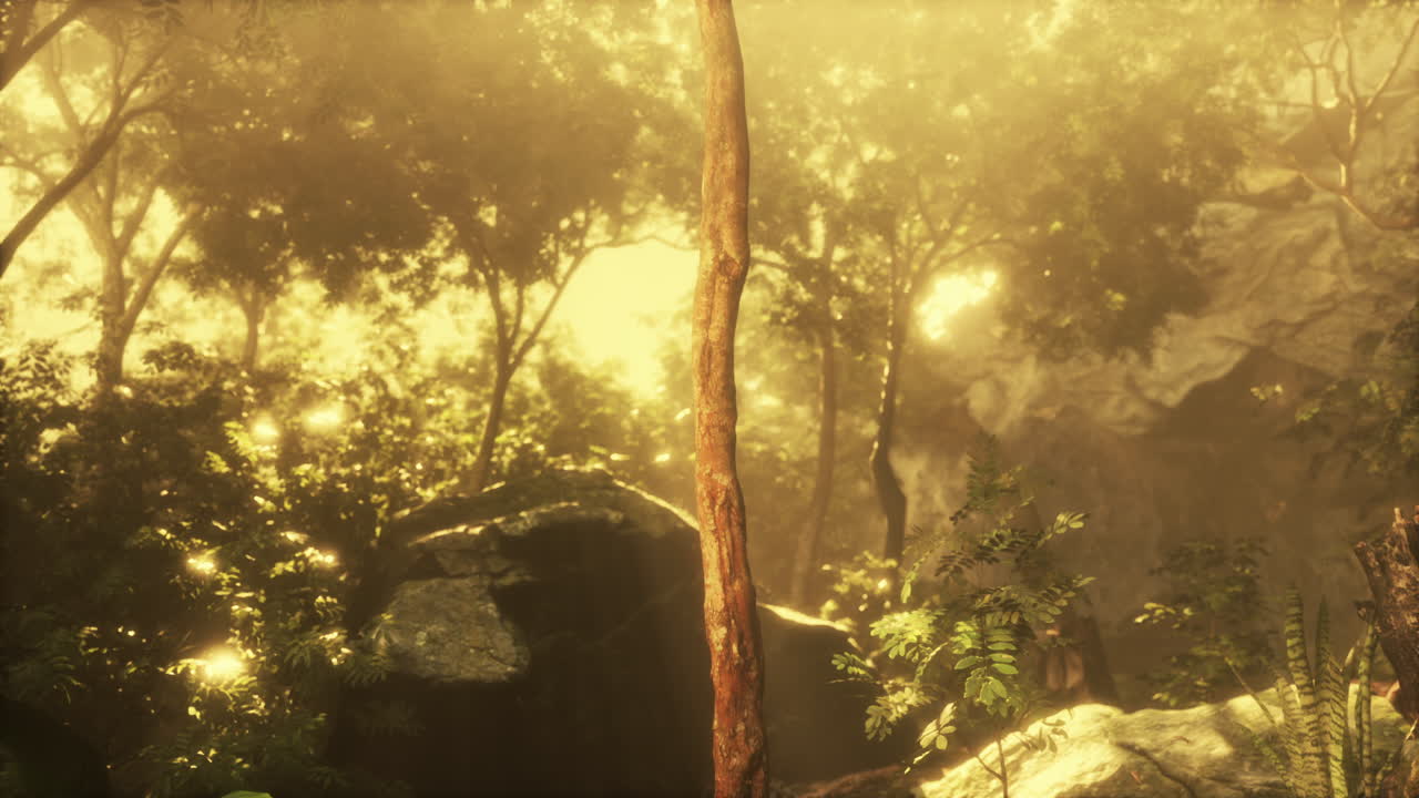 Солнечный лес рано утром