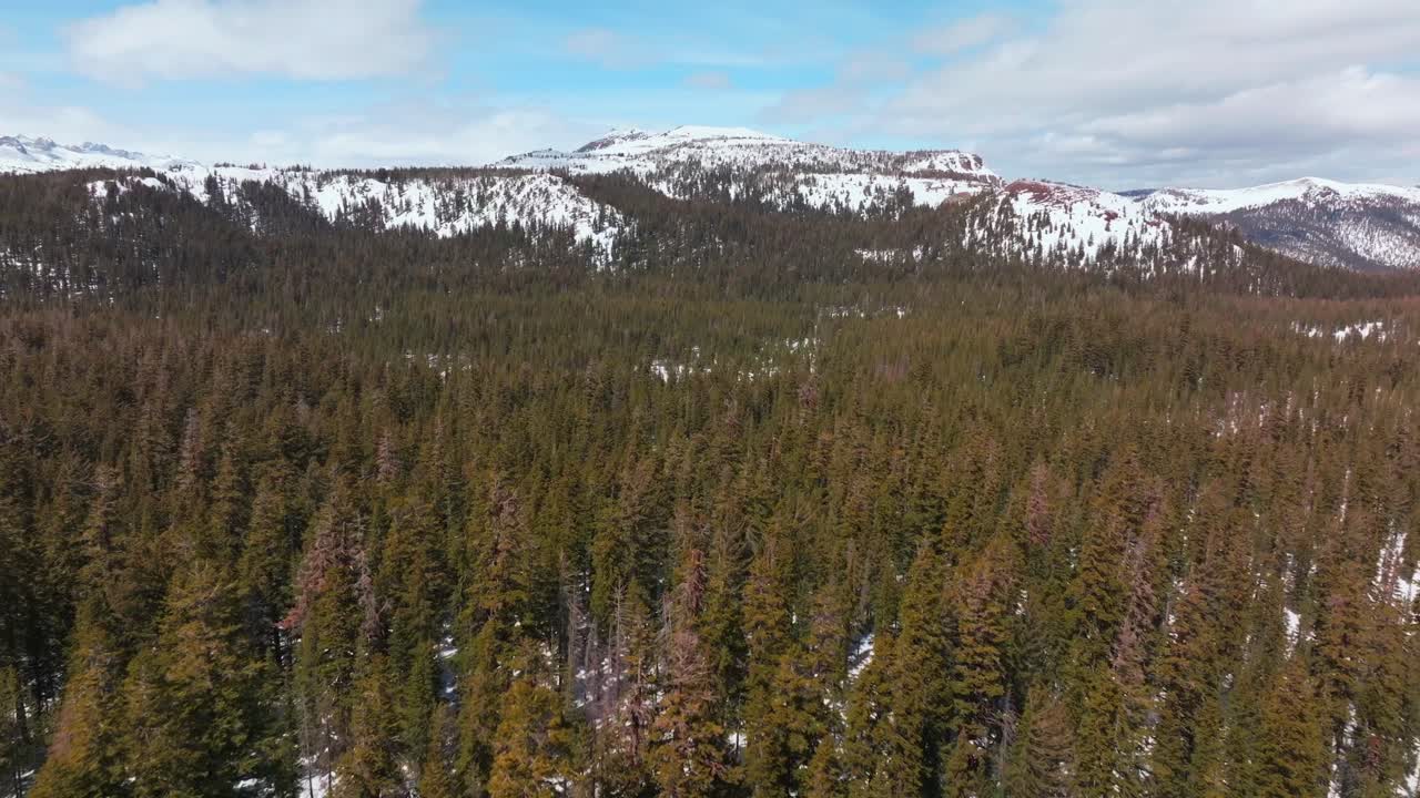 Inyo National Forest Minarets jagged towering peaks vista point panoramic landscape Mammoth Mountain ski resort aerial drone California winter spring sunny blue sky morning Hemlocks forward motion
