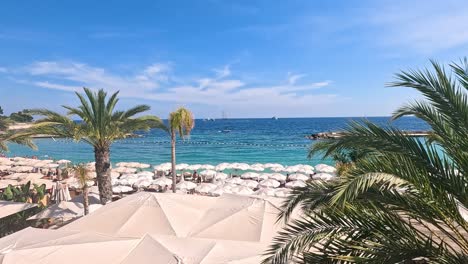 tourists enjoying a sunny beach in monte carlo