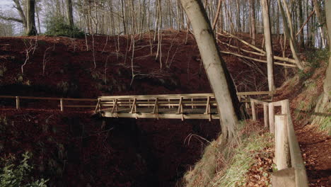 wooden bridge in a beautiful peaceful forrest on a sunny day