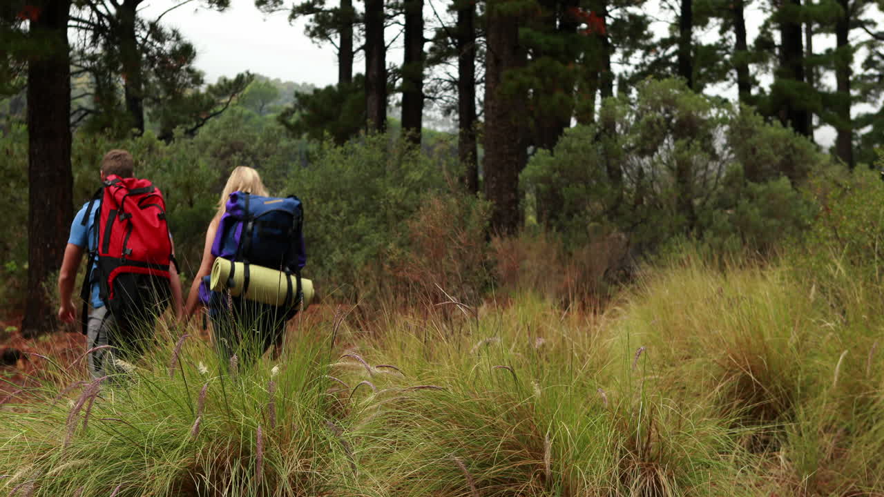 젊은 부부가 함께 숲을 산책하고 있다