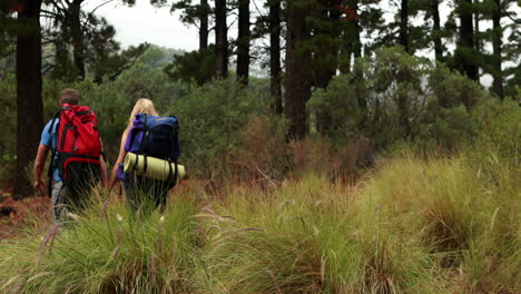 Pareja-Joven,-Caminata,-Por,-El,-Bosque,-Juntos