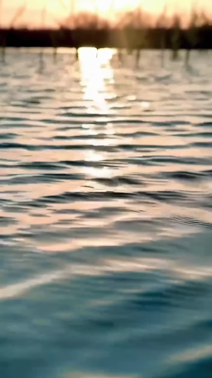 Video con inquadratura dal basso che cattura increspature d'acqua serene al tramonto, riflettendo calde sfumature dorate.