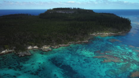 wide aerial over coral reef and columnar pine forest cape wabao on maré island