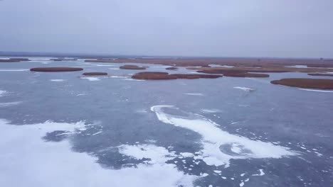 Aerial-view-of-frozen-lake-Liepaja-during-the-winter,-blue-ice-with-cracks,-dry-yellowed-reed-islands,-overcast-winter-day,-wide-drone-shot-moving-forward-camera-tilt-down