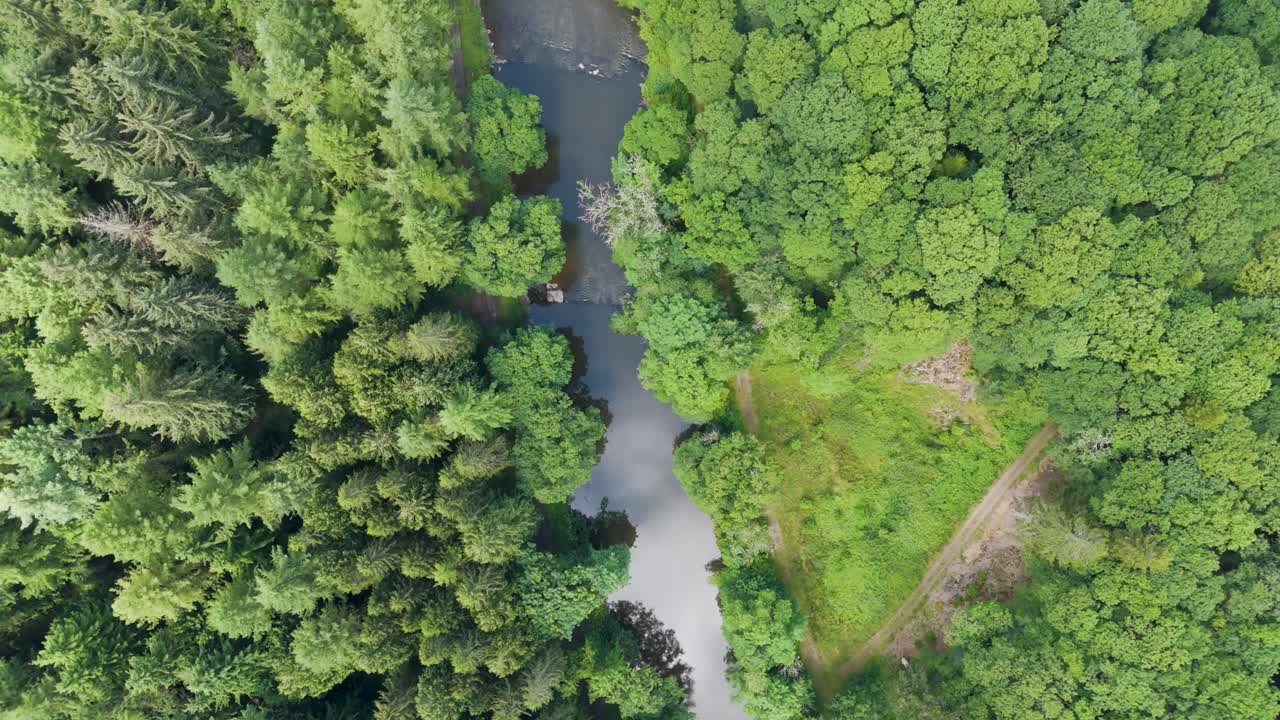 Top down aerial view of the River Tamar winding through the lush, beautiful landscapes of Devon and Cornwall, showcasing the vibrant green forests and serene waterway